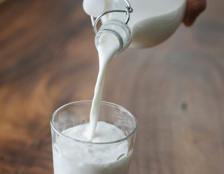 Melk (volle)