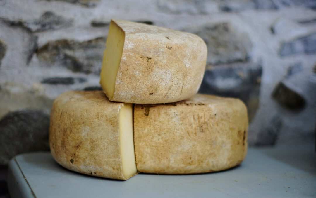 Kaas Edam (40+)