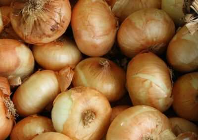 Onion (raw)