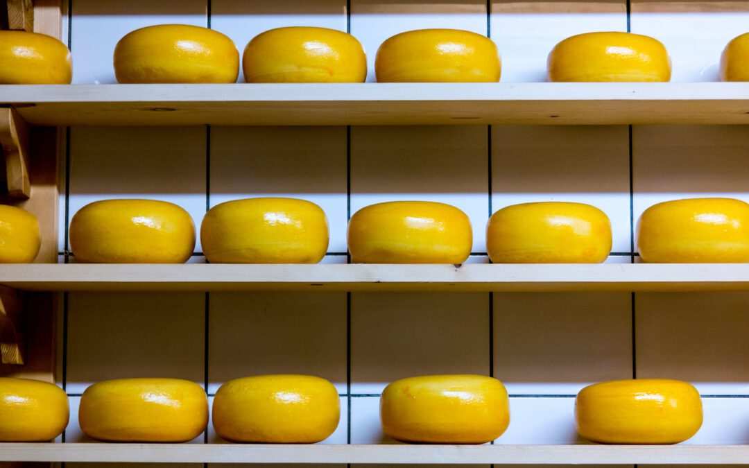 Kaas Gouda (48+)