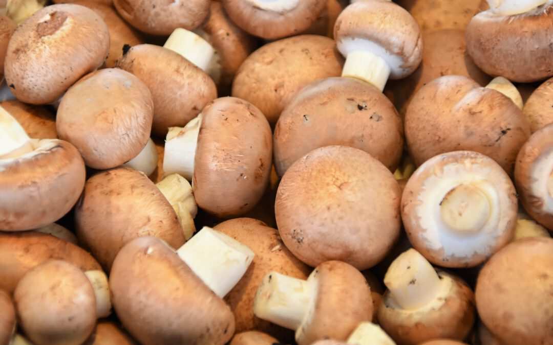 Champignons