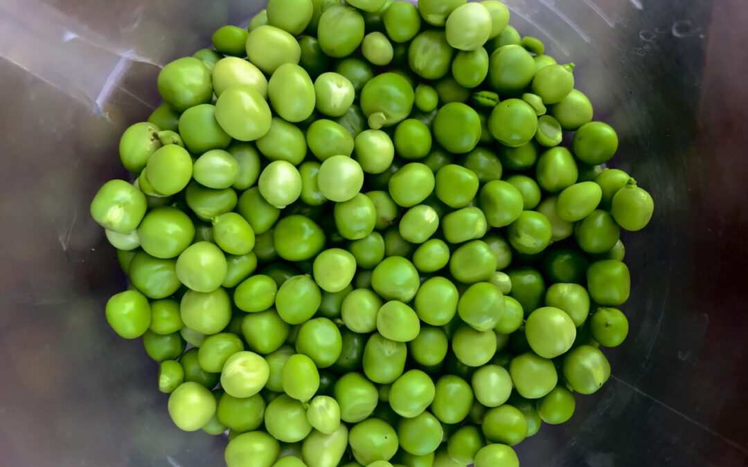 Doperwten (diepvries)