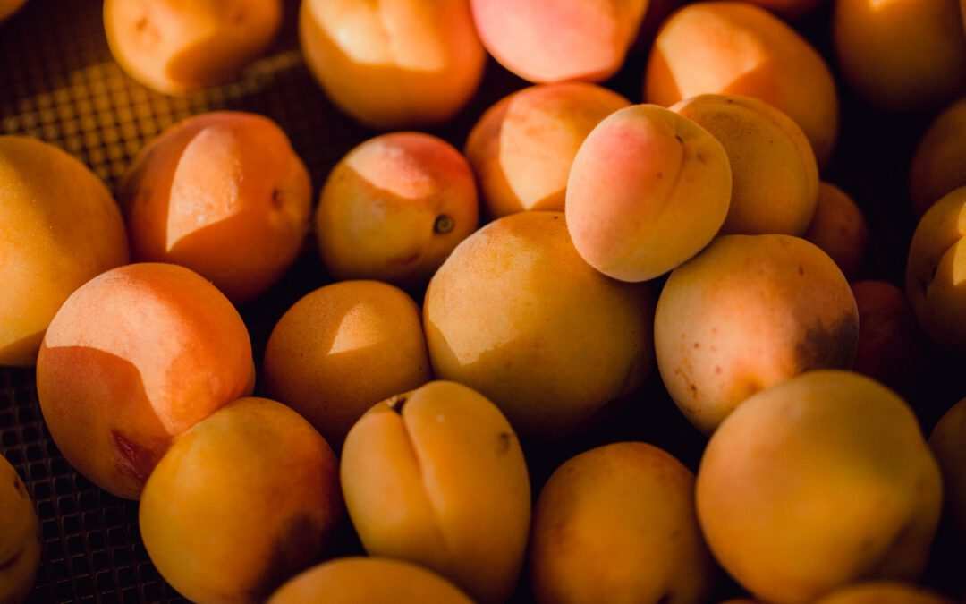 Abrikozen